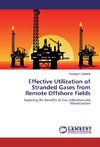 Effective Utilization of Stranded Gases from Remote Offshore Fields