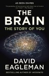 The Brain