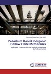 Palladium Based Inorganic Hollow Fibre Membranes