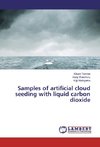 Samples of artificial cloud seeding with liquid carbon dioxide