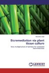 Bioremediation via plant tissue culture