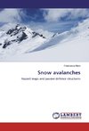Snow avalanches