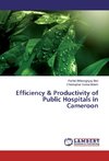 Efficiency & Productivity of Public Hospitals in Cameroon