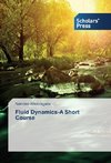 Fluid Dynamics-A Short Course