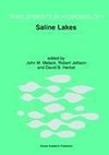 Saline Lakes