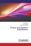 Torque and Speed in Endodontics
