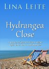 Hydrangea Close