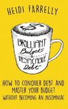 Brilliant Budgets and Despicable Debt