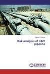 Risk analysis of TAPI pipeline