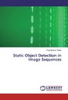 Static Object Detection in Image Sequences