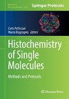 Histochemistry of Single Molecules