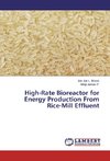 High-Rate Bioreactor for Energy Production From Rice-Mill Effluent