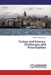 Turkey and Energy: Challenges and Potentialities