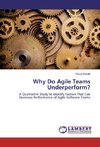 Why Do Agile Teams Underperform?