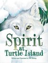 Spirit at Turtle Island