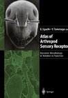 Atlas of Arthropod Sensory Receptors