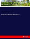 Elements of international Law