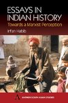 Essays in Indian History
