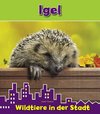 Igel