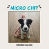 Micro Chip