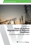 Study of Surface Degradation of Polymer Insulators