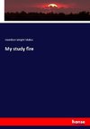 My study fire