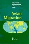Avian Migration