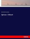 Spinoza - A Novel