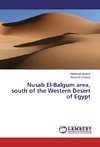 Nusab El-Balgum area, south of the Western Desert of Egypt