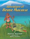 Adventure of Brave Macaca