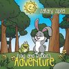Frog and Rabbit's Adventure