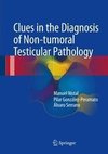 Nistal, M: Clues in the Diagnosis of Non-tumoral Testicular