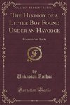 Author, U: History of a Little Boy Found Under an Haycock