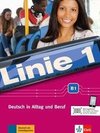 Linie 1 B1. Kurs- und Übungsbuch mit DVD-ROM