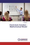 Electrolyte Solution - Mathematical Model