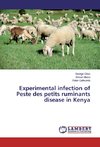 Experimental infection of Peste des petits ruminants disease in Kenya