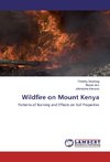 Wildfire on Mount Kenya