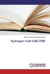 Hydrogen Fuel Cells PEM