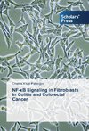 NF-¿B Signaling in Fibroblasts in Colitis and Colorectal Cancer