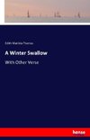 A Winter Swallow