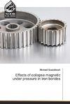 Effects of collapse magnetic under pressure in iron borides