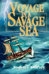 Voyage in a Savage Sea