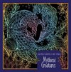 Super Scratch Art Pads: Mythical Creatures