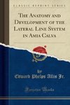 Jr., E: Anatomy and Development of the Lateral Line System i