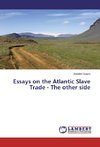 Essays on the Atlantic Slave Trade - The other side