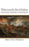 What was the Sin of Sodom