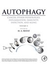 Autophagy