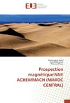 Prospection magnétique:NNE ACHEMMACH (MAROC CENTRAL)