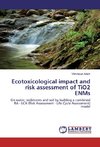 Ecotoxicological impact and risk assessment of TiO2 ENMs