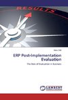 ERP Post-Implementation Evaluation